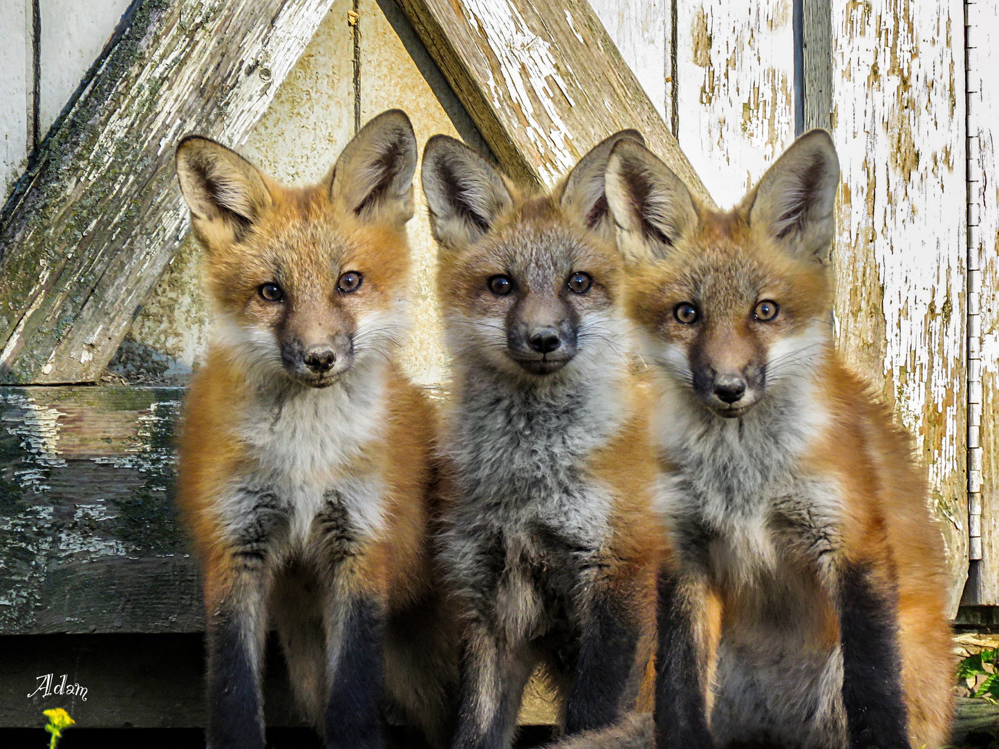 A True Once In A Lifetime